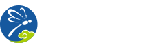 FUJIAN BBC INC