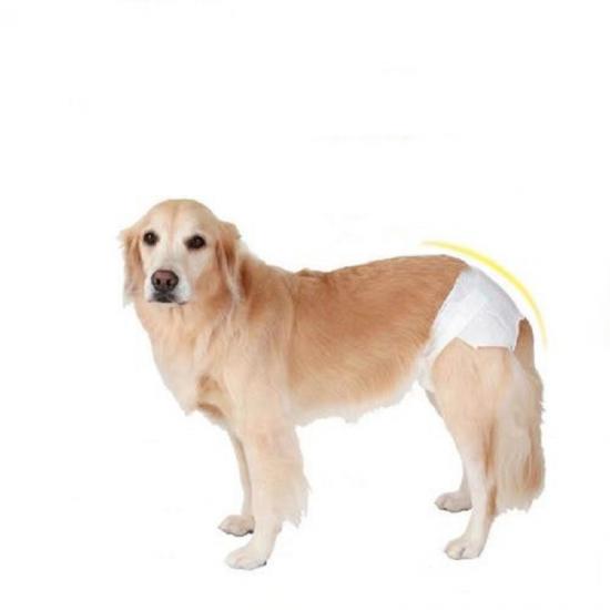 pet diapers