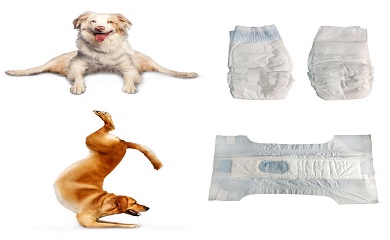 Newly added pet diaper production equipment.